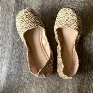 Cheetah flats
